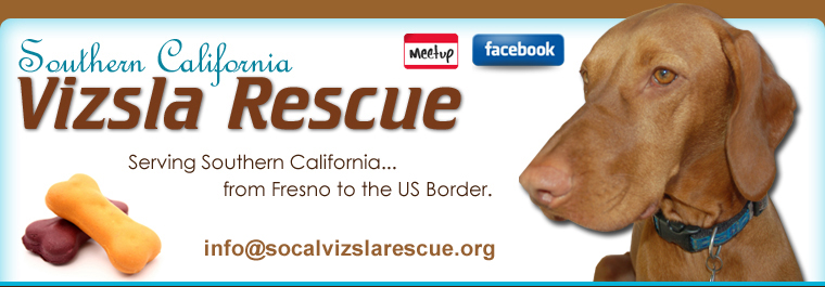 Southern California Vizsla Rescue